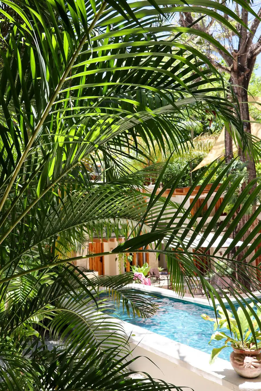 Dreamcatcher tropical pool