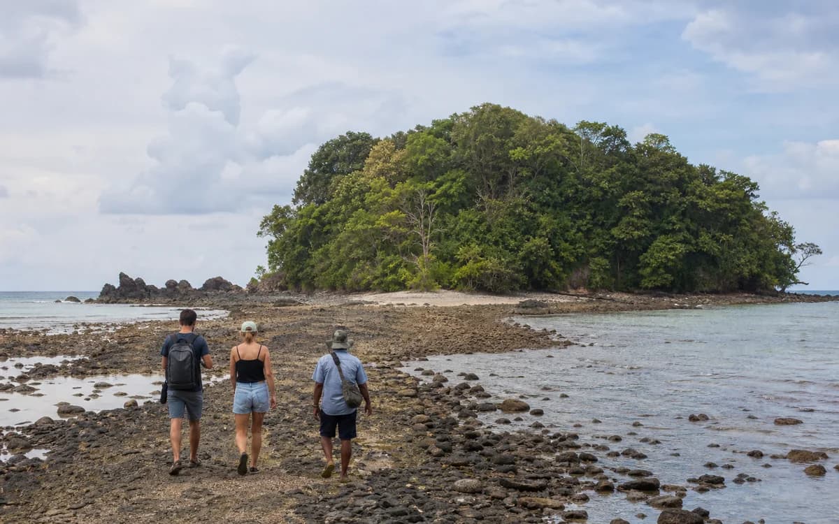 Editorial representation of Cabuya / Cemetery Island / Nature Excursion in Santa Teresa, Costa Rica.