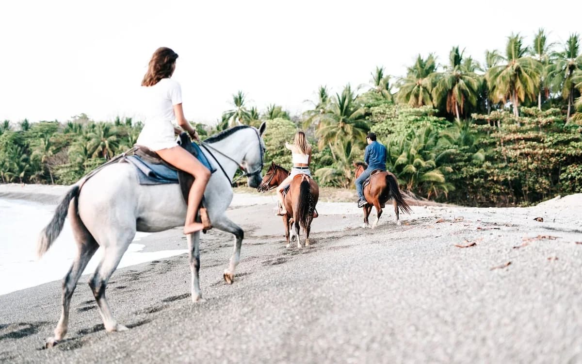 Image of Horseback Riding - Manzanillo / Mal País Area in Santa Teresa, Costa Rica.