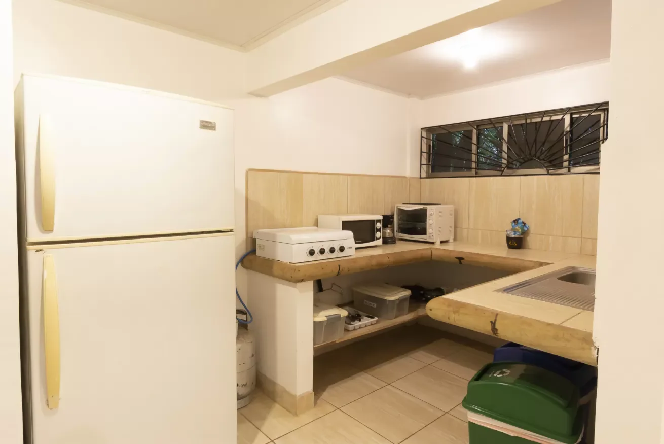 #8 King junto a la piscina: cocina compartida