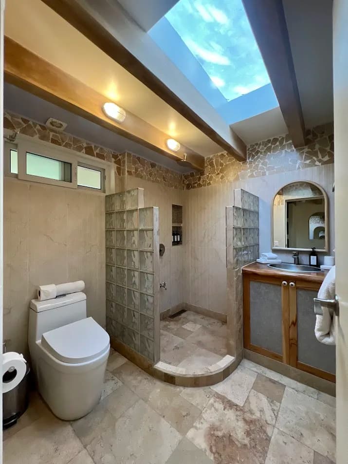 Baño con inodoro, ducha curva delimitada por bloques de vidrio, mueble de lavabo con espejo y abertura acristalada en el techo.