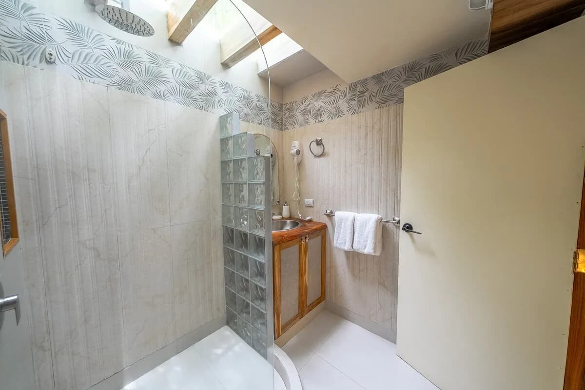 Bathroom viewed from the shower area, with a glass panel and glass blocks in the center, a vanity in the background, and a skylight above.