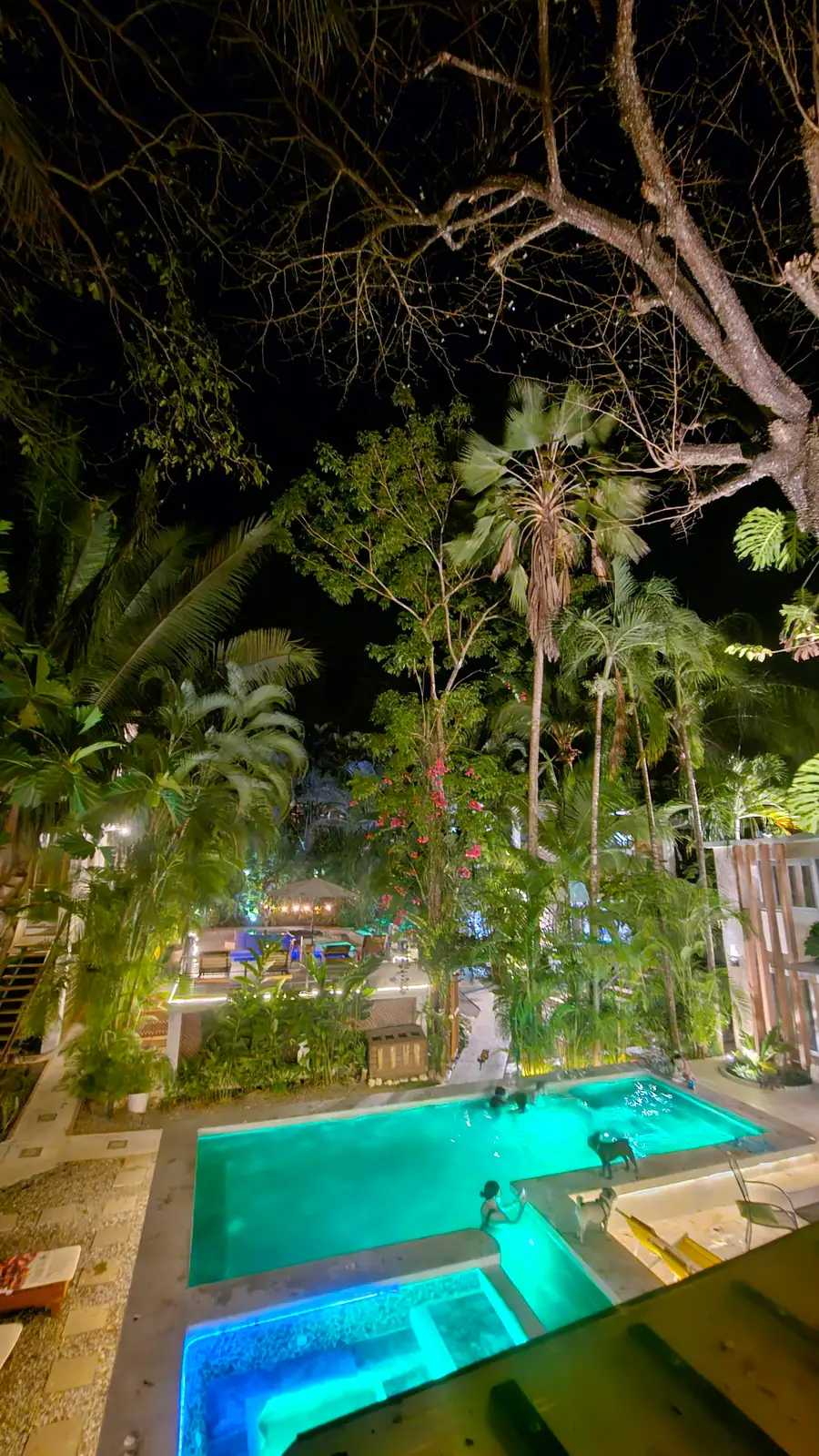 A quiet pool corner under the canopy