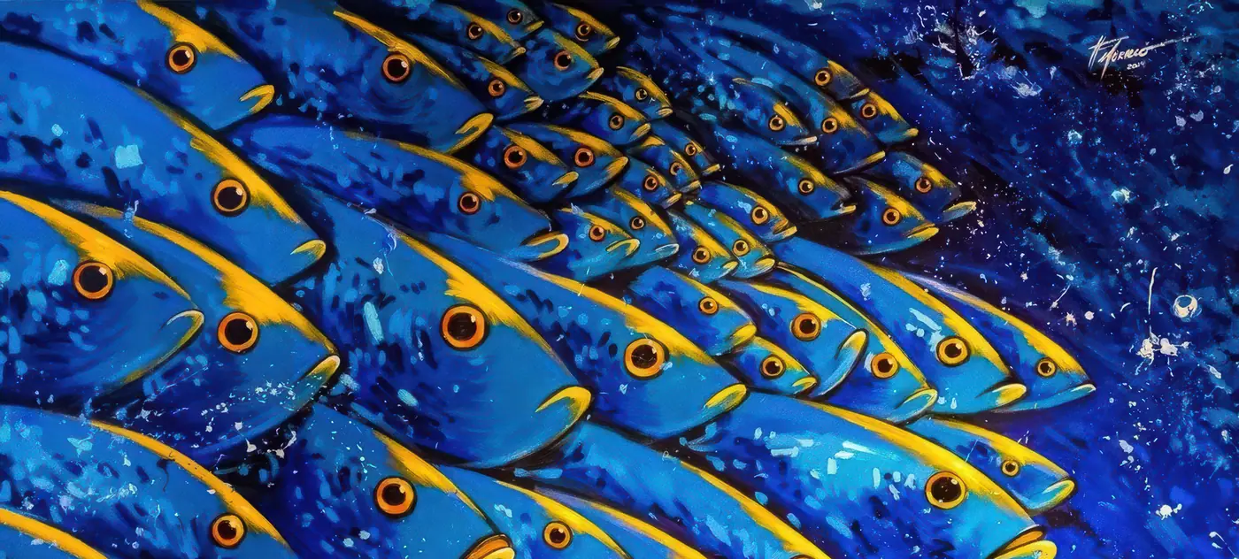 Cardumen azul