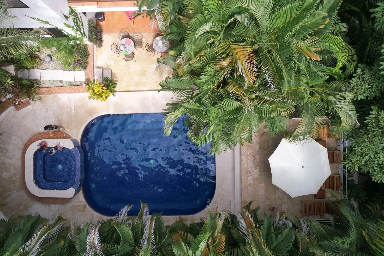 Piscina y jardines de Dreamcatcher Hotel en Santa Teresa