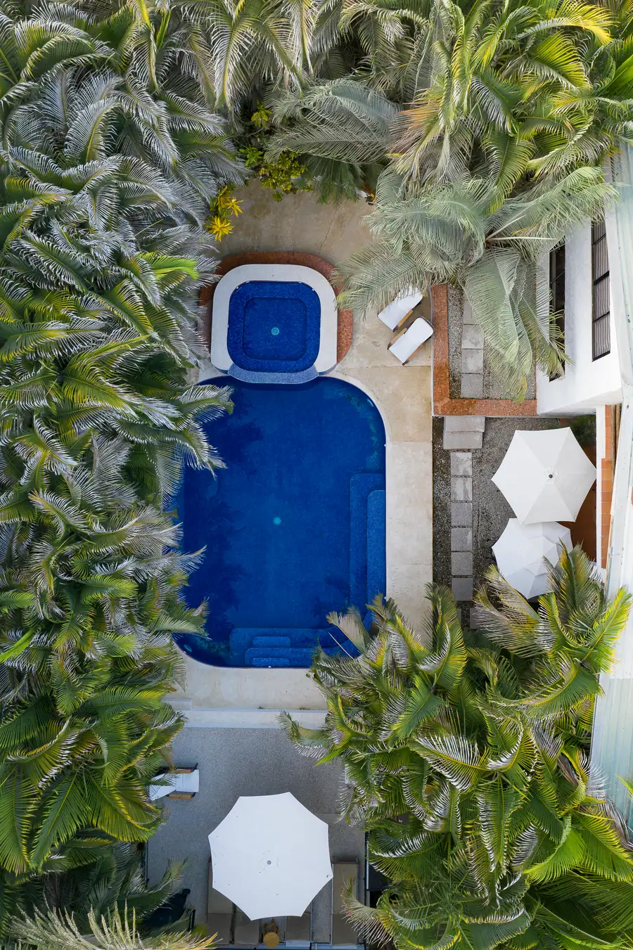The tropical pool from above