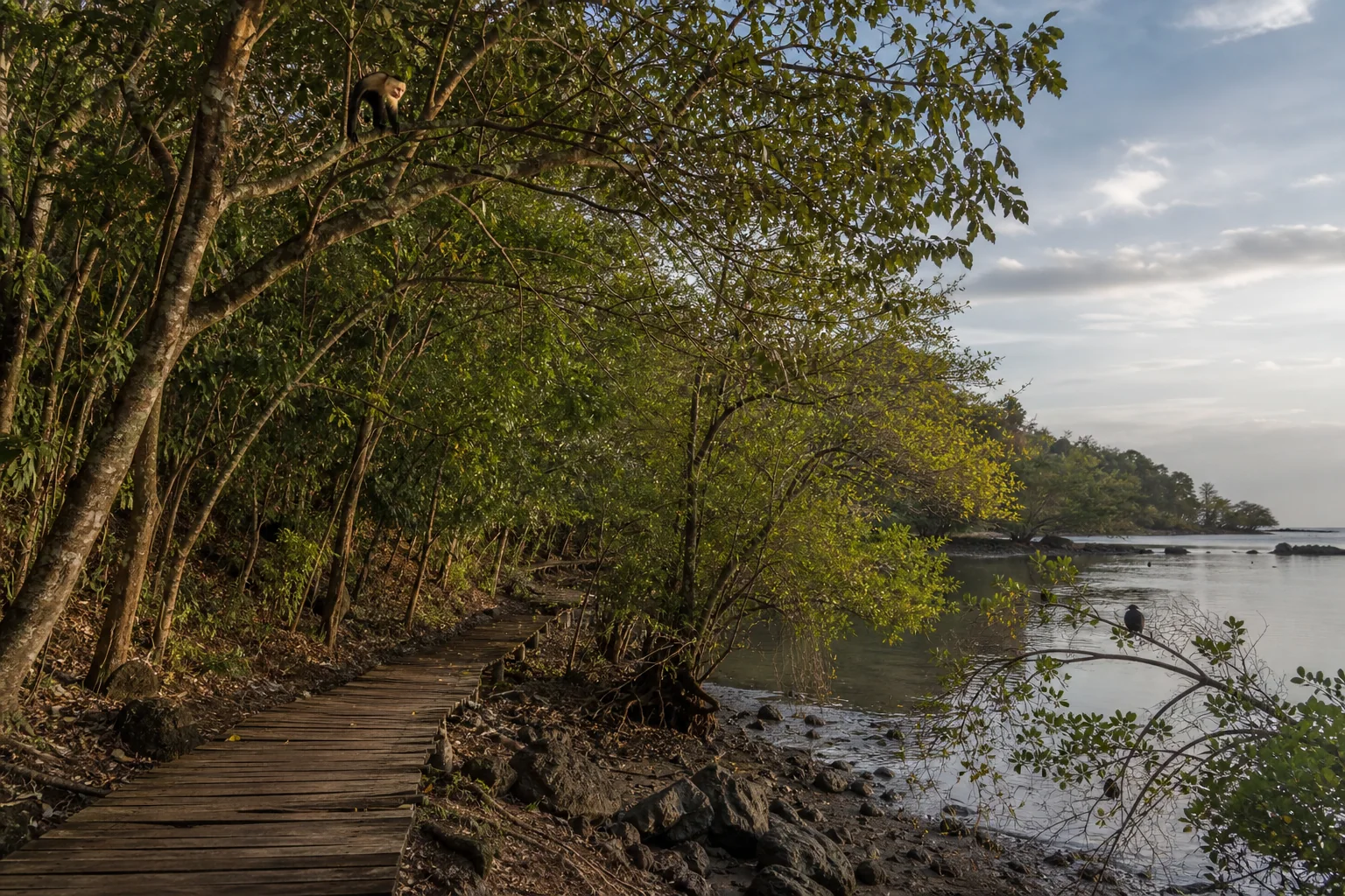 Curú wildlife refuge