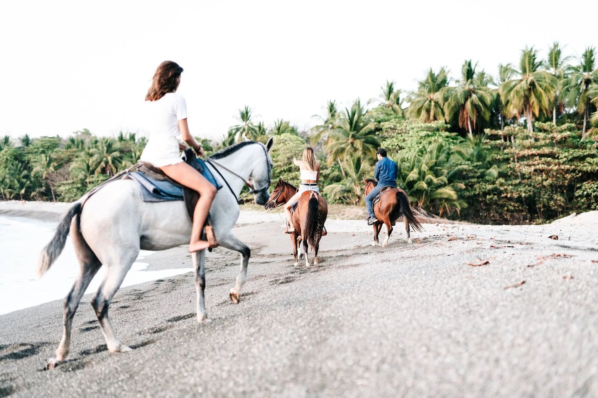 Beach horseback riding