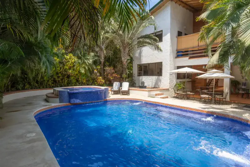 Ambiente tropical con piscina en Dreamcatcher